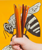 Messner Bee Farm Wildflower Honey Sticks - Variety Pak-Lange General Store