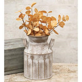 Beige Silver Dollar Bush-Lange General Store