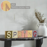 Bunny Hop Multicolor SPRING Block Sign-Lange General Store