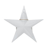 Celebrate Grace Metal Star w/ Risen Tag-Lange General Store