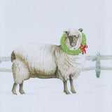 Christmas Barn & Sheep Dishtowels-Lange General Store