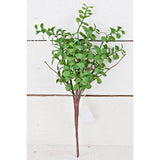 Evergreen Boxwood Bush 14" Pick-Lange General Store