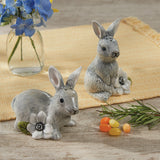 Forever Spring Salt & Pepper Set-Lange General Store