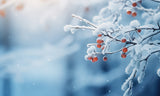 Fragrance Melts - Winterberry Spice