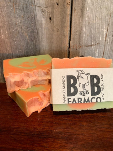 Goat Milk Bar Soap - Mango Mango-Lange General Store