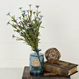 Mini Mountain Daisy Bush Blue 18" BUNDLE-Lange General Store