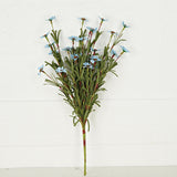 Mini Mountain Daisy Bush Blue 18" BUNDLE-Lange General Store