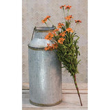 Mini Mountain Daisy Bush Orange 18"-Lange General Store