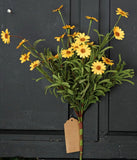 Mini Mountain Daisy Bush Yellow 18"-Lange General Store