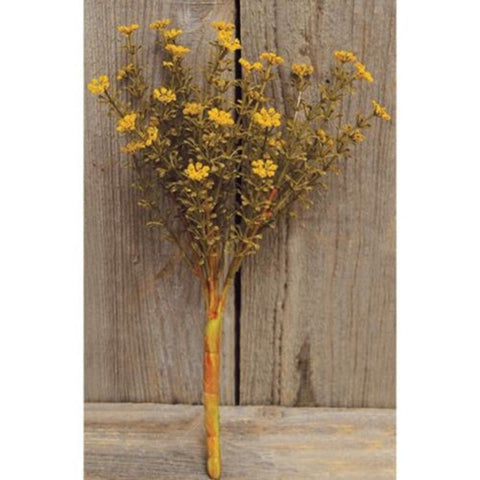 Mustard Fall Astilbe Bush 10.5"-Lange General Store