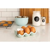 Robin's Egg Speckle Ceramic Egg Crate-Lange General Store