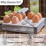 Roost Egg Crate-Lange General Store