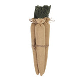 Spring In Bloom Bundle of 3 Carrots-Lange General Store