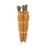 Spring In Bloom Bundle of 3 Carrots Orange-Lange General Store