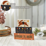 Spring Is Here Bunny Leap w/ Flowers Block Sign Set of 3-Lange General Store