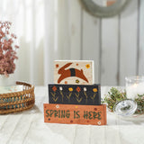 Spring Is Here Bunny Leap w/ Flowers Block Sign Set of 3-Lange General Store