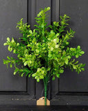 Thyme Bush Greenery 15"-Lange General Store